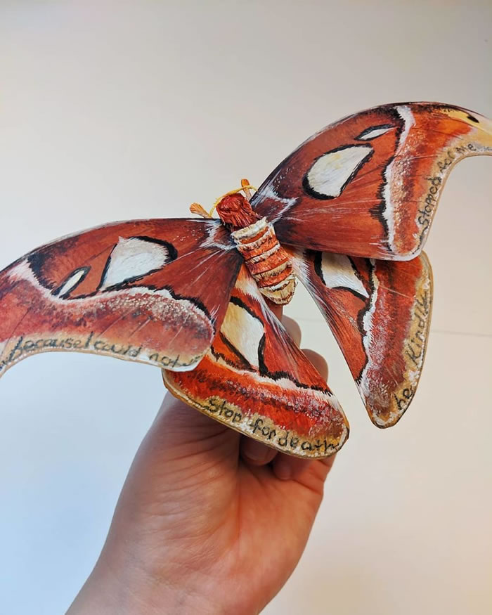 Paper Sculptures Of Butterflies By Kerilynn Wilson