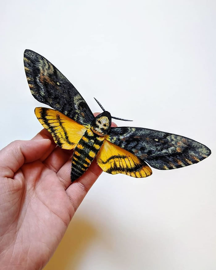 Paper Sculptures Of Butterflies By Kerilynn Wilson