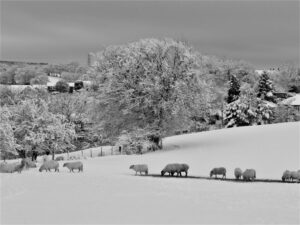 Arwynevans, United Kingdom