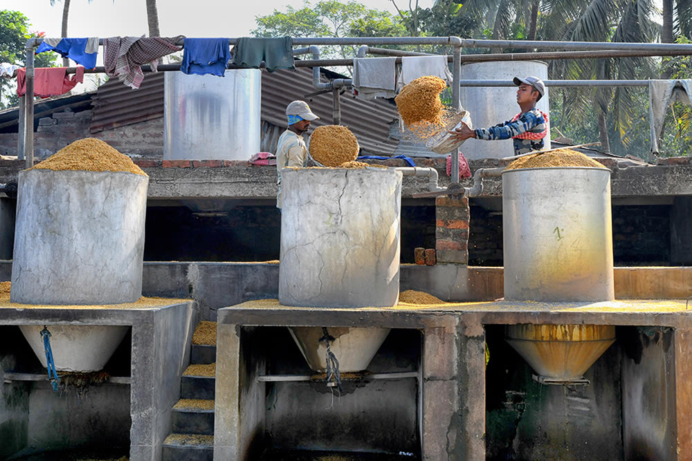 Paddy Drying Processes In Manual Mode