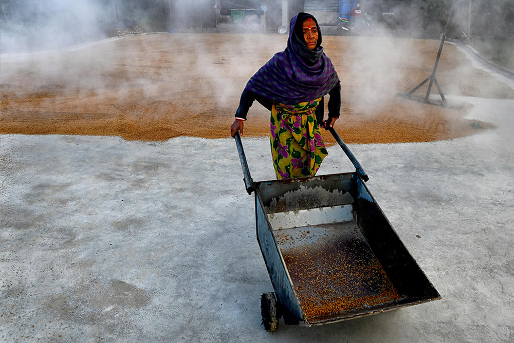 Paddy Drying Processes In Manual Mode