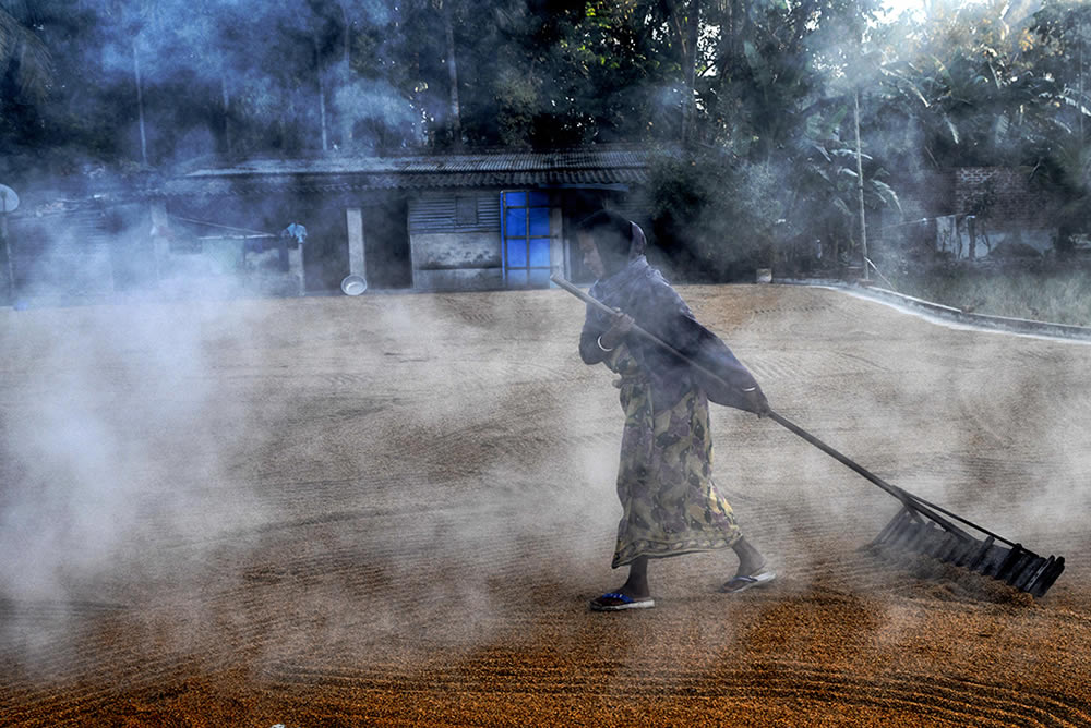 Paddy Drying Processes In Manual Mode