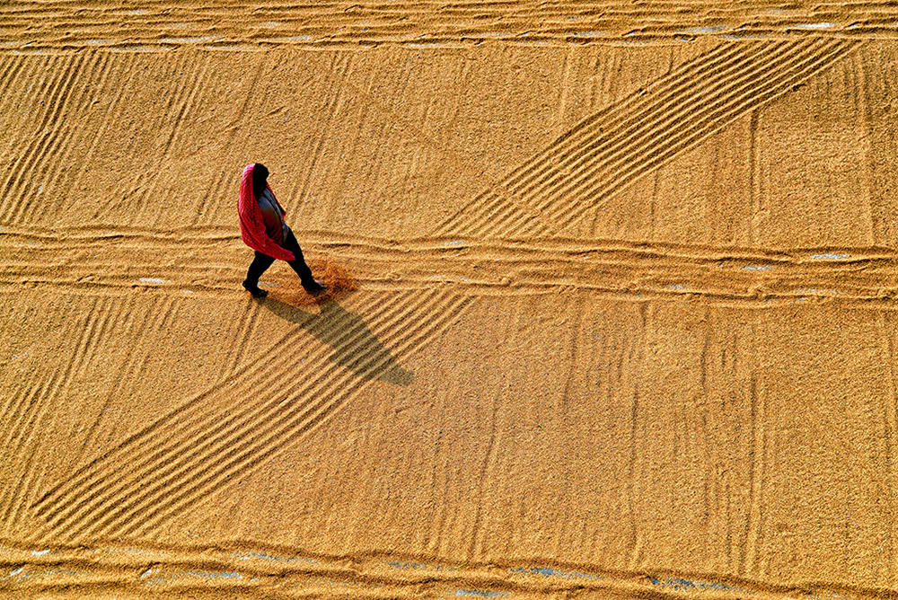 Paddy Drying Processes In Manual Mode