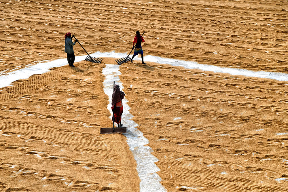 Paddy Drying Processes In Manual Mode