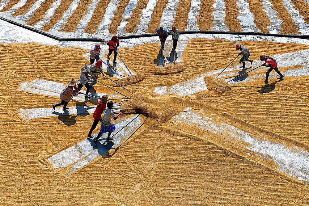 Paddy Drying Processes In Manual Mode