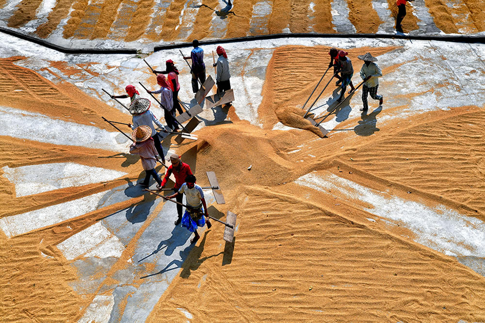 Paddy Drying Processes In Manual Mode