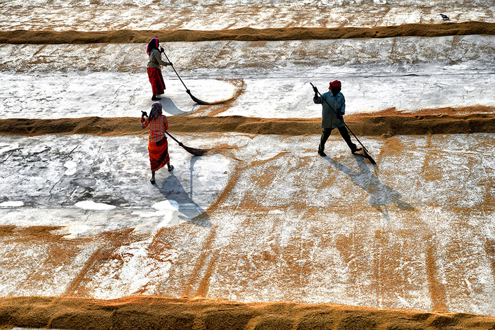 Paddy Drying Processes In Manual Mode