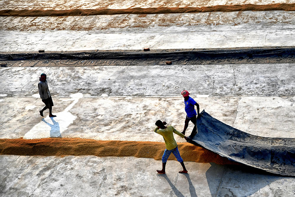 Paddy Drying Processes In Manual Mode