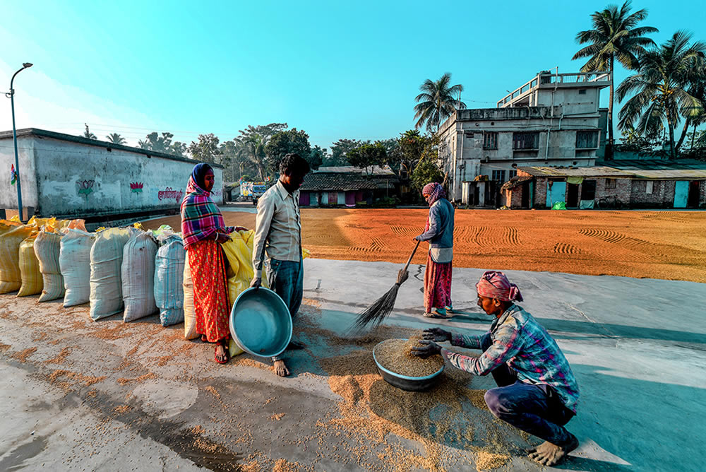 Paddy Drying Processes In Manual Mode