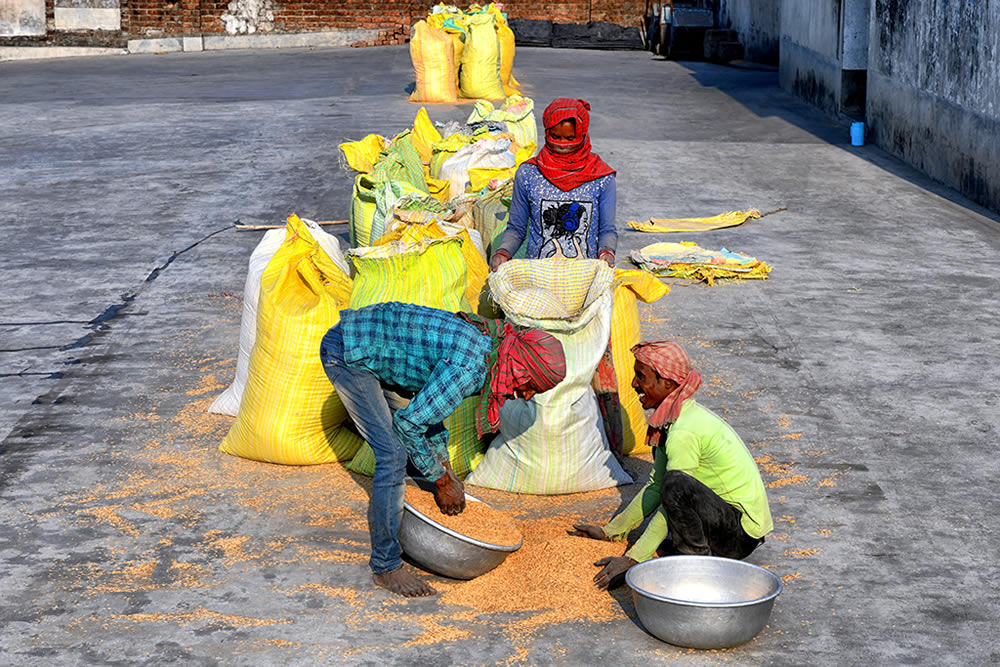 Paddy Drying Processes In Manual Mode