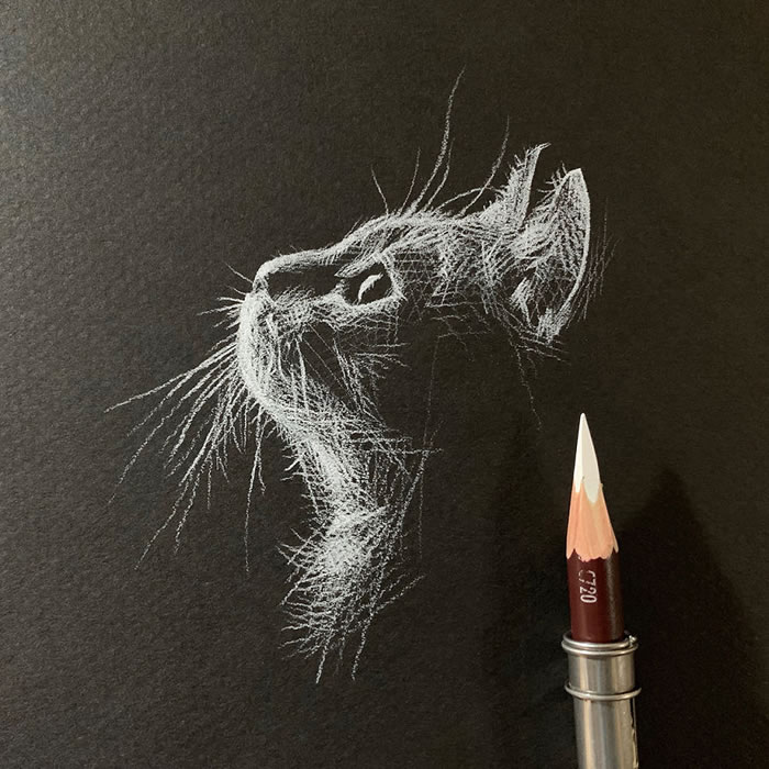 White Pencil Black Paper Drawings By Kay Lee