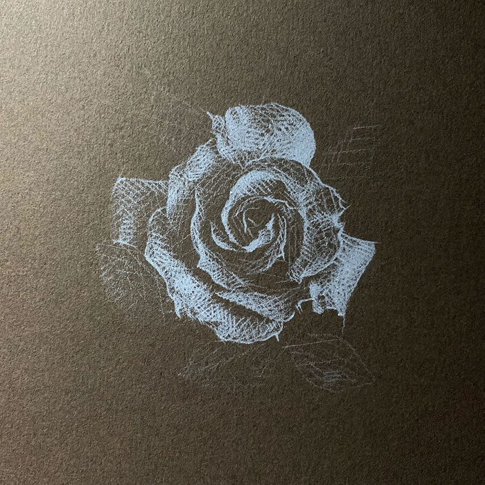 White Pencil Black Paper Drawings By Kay Lee