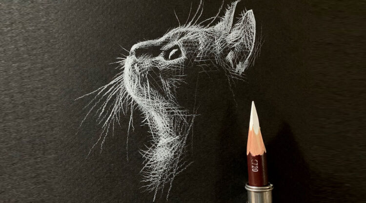 White Pencil Black Paper Drawings By Kay Lee