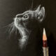 White Pencil Black Paper Drawings By Kay Lee