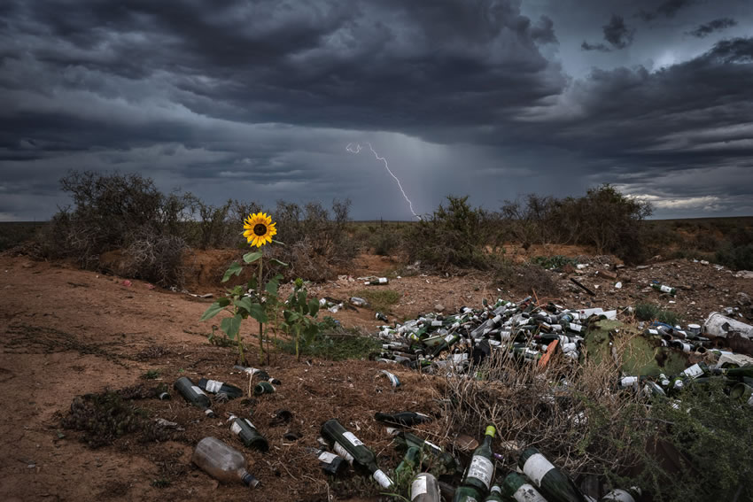 Nature TTL Photo Contest Winners 2022