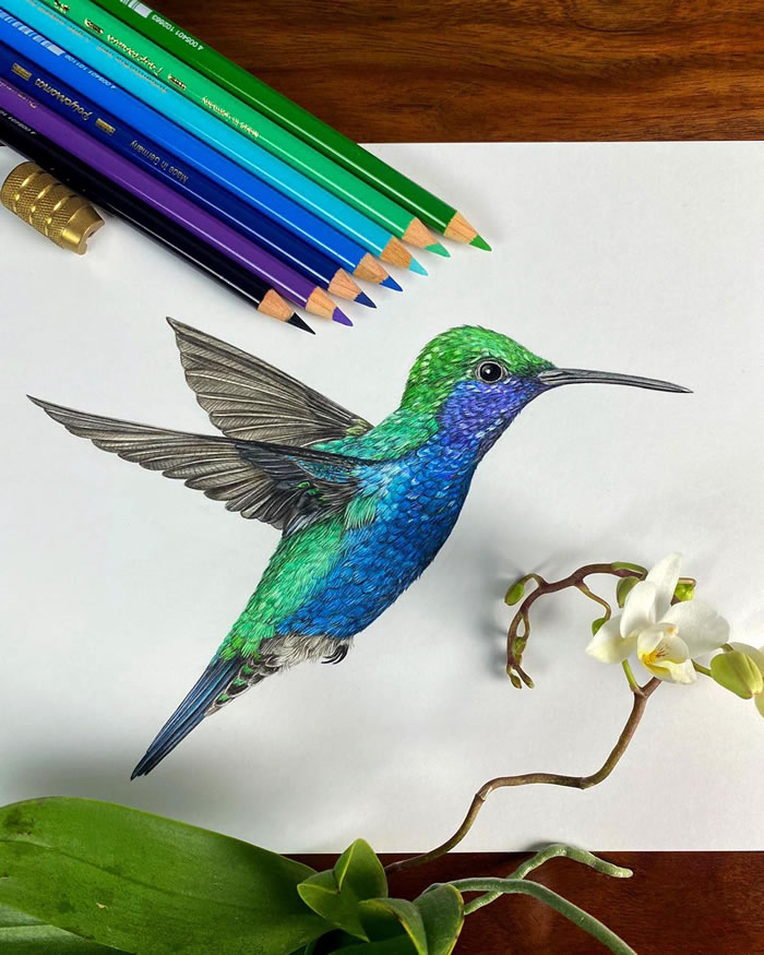 Beautiful Pencil Art By Nikolas Kuhlen