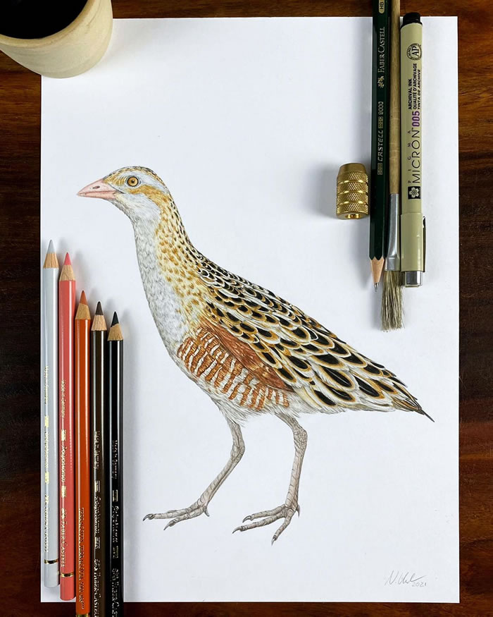 Beautiful Pencil Art By Nikolas Kuhlen