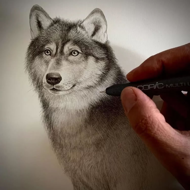 Realistic Pencil Drawings By Kozue Oshima