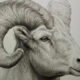 Realistic Pencil Drawings By Kozue Oshima