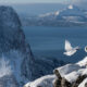 Winning photos of Bird Photographer of the Year 2022