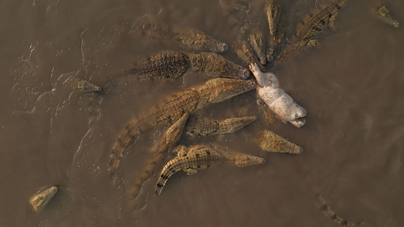 Winning Photos Of Siena Drone Photo Awards 2022