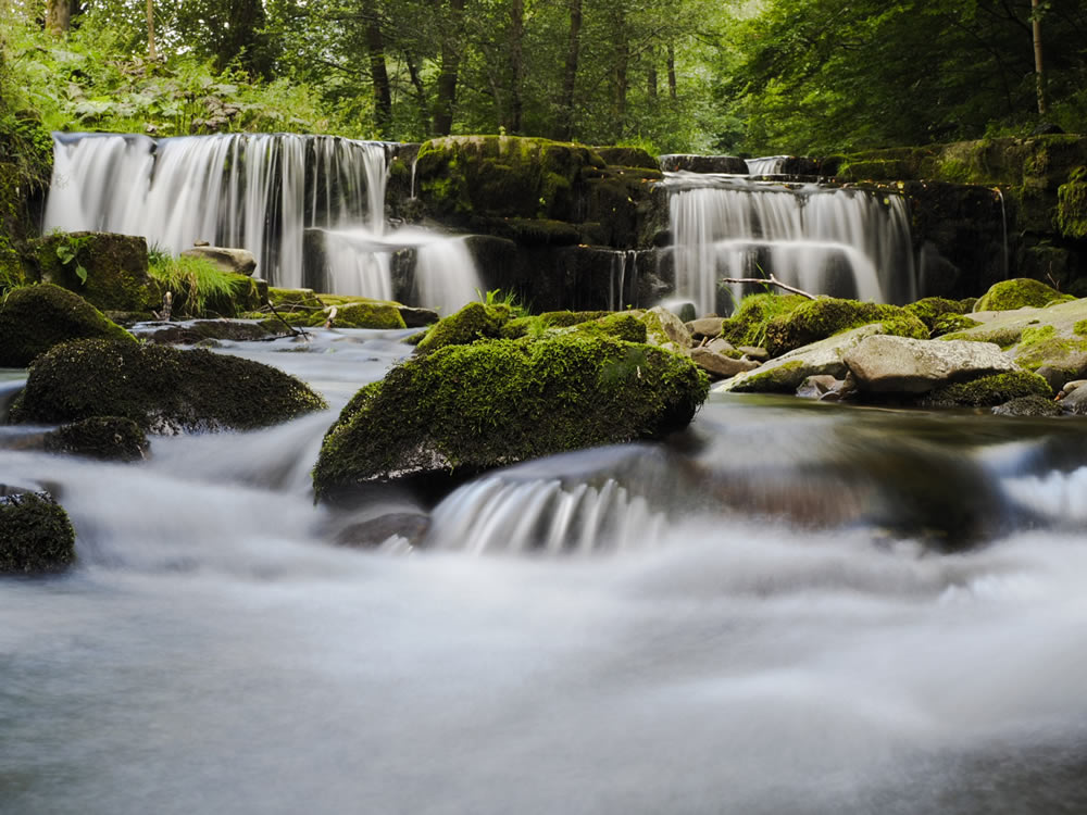 Gurushots Wondrous Water Challenge