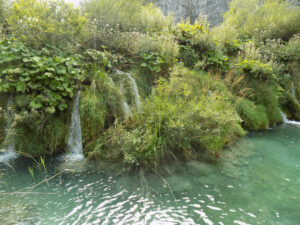 Tünde Laki, Hungary