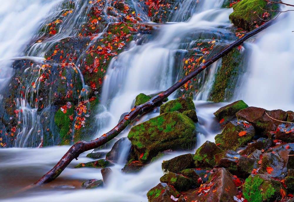 Gurushots Wondrous Water Challenge