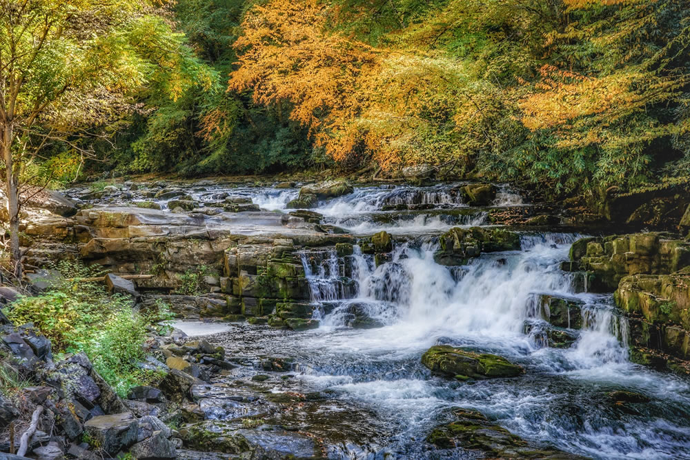 Gurushots Wondrous Water Challenge