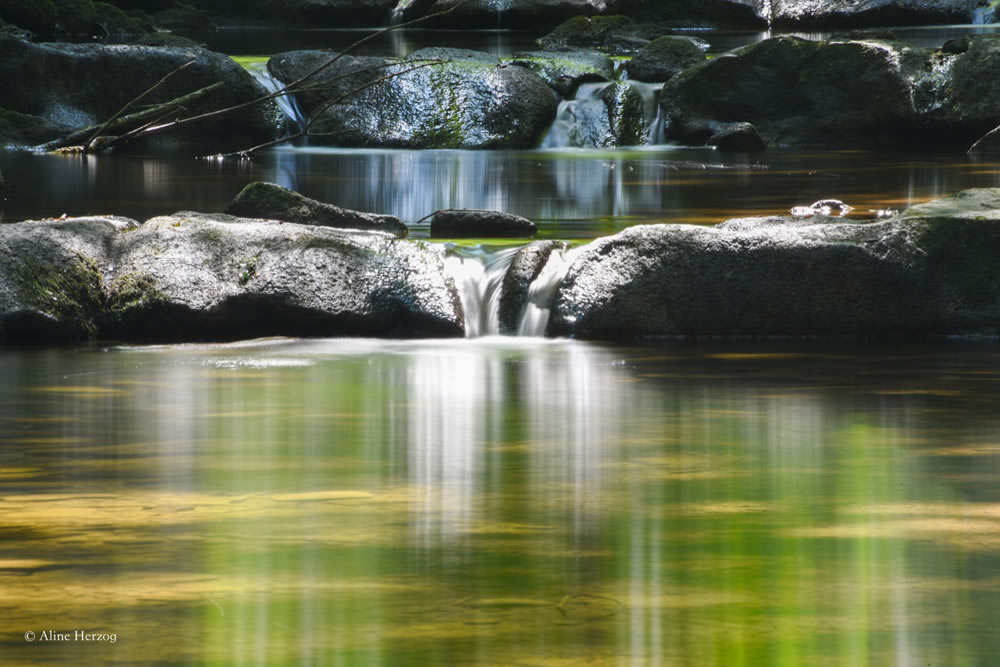 Gurushots Wondrous Water Challenge