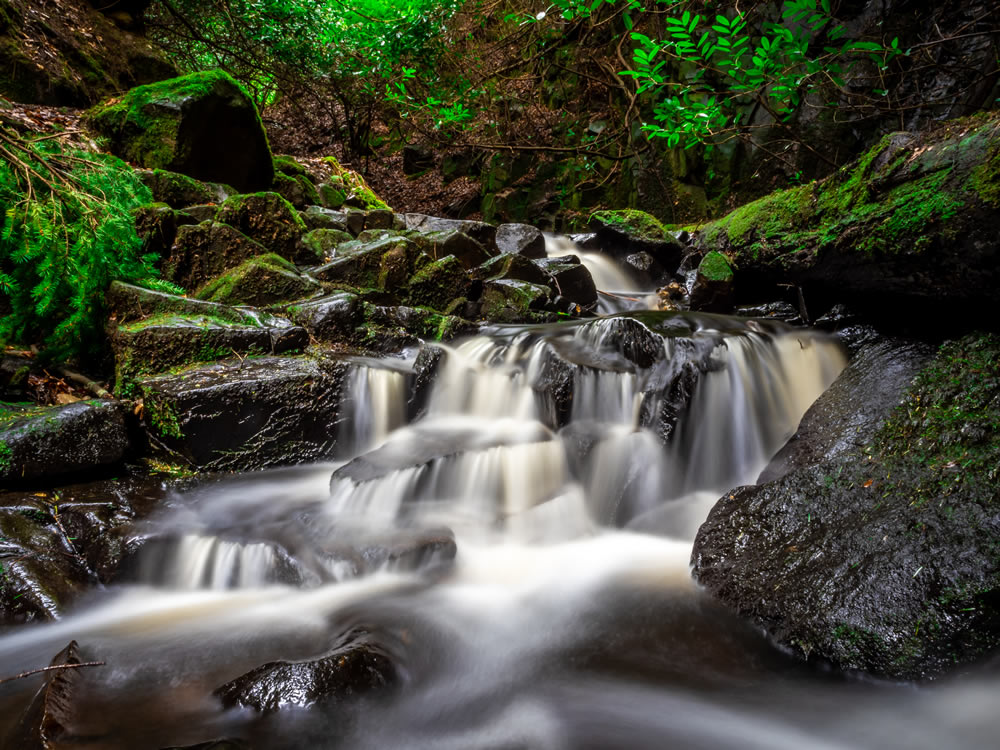 Gurushots Wondrous Water Challenge