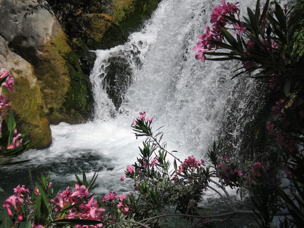 Gurushots Wondrous Water Challenge