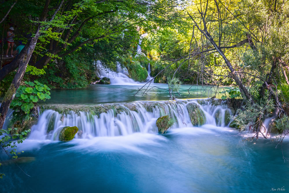 Gurushots Wondrous Water Challenge