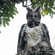 Harpy Eagle