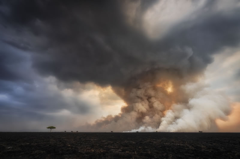 2022 Siena International Photo Awards Winners