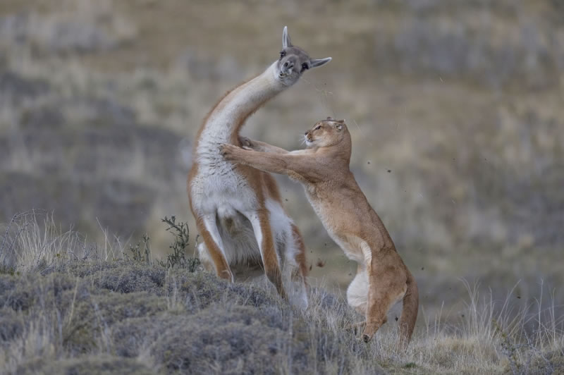 2022 Siena International Photo Awards Winners