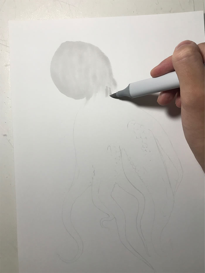 Step-By-Step Process On Drawing A Realistic Octopus