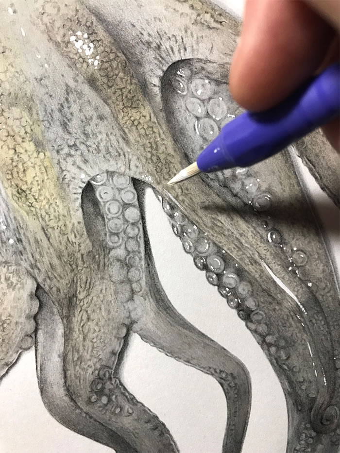 Step-By-Step Process On Drawing A Realistic Octopus