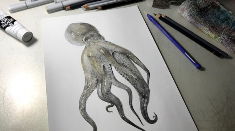 Step-By-Step Process On Drawing A Realistic Octopus