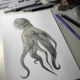 Step-By-Step Process On Drawing A Realistic Octopus