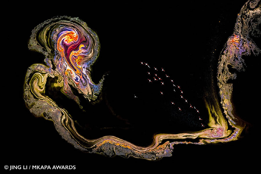 African Wildlife Photography Awards 2022