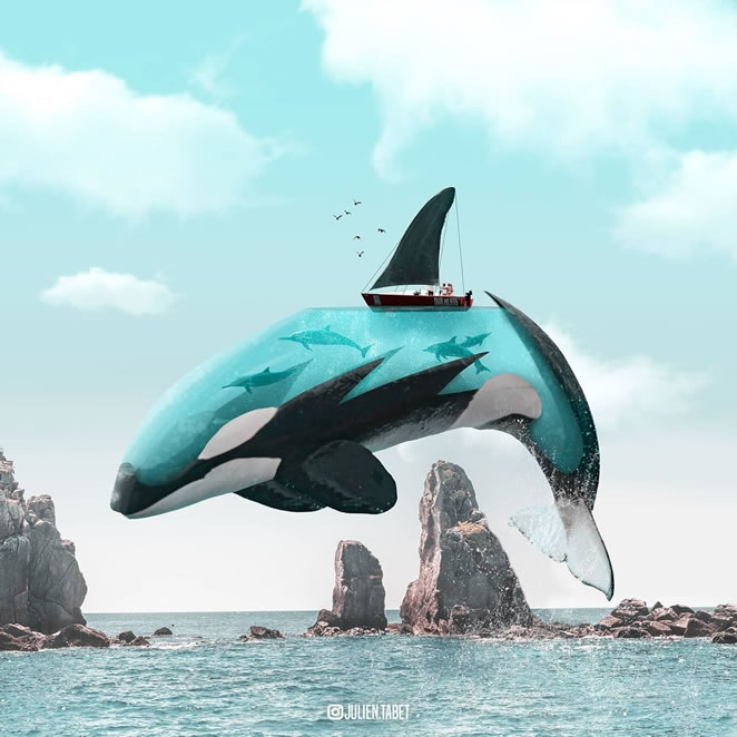 Animal Photo Manipulations by Julien Tabet