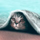 Animal Photo Manipulations by Julien Tabet