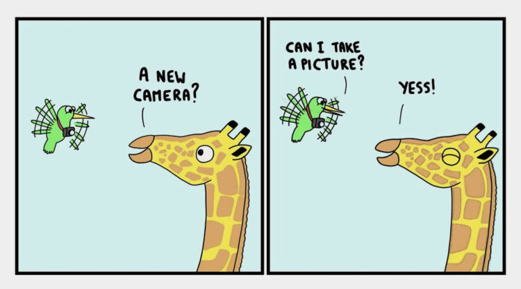 The Backstory of Popular Animal Pictures