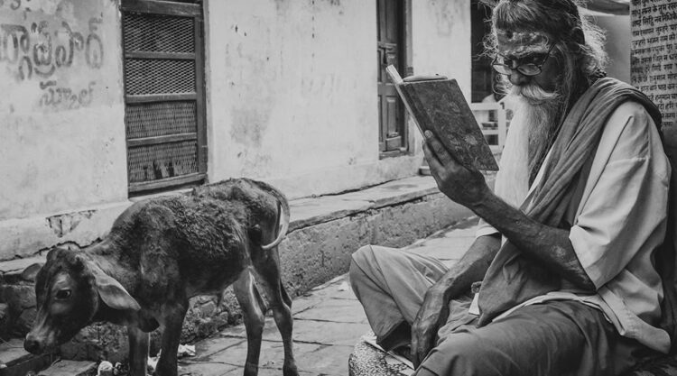 Co-Existence: Bulls Of Varanasi By Supriyo R Sarkar