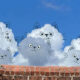 Funny Doodles Of Clouds By Chris Judge