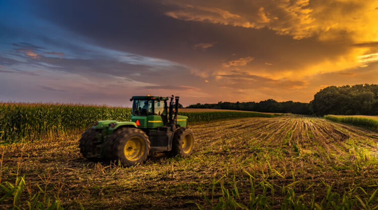 Nature Photography by Fabiano Dossantos