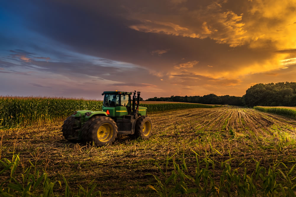 Nature Photography by Fabiano Dossantos