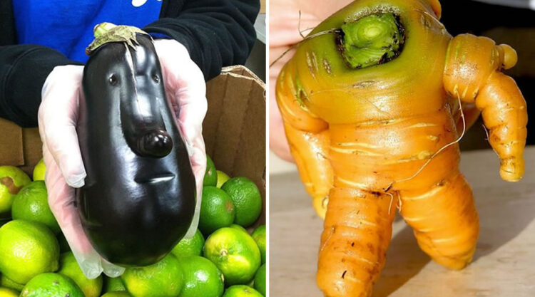 Funny-Shaped Fruits And Vegetables