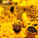 Haldi Festival By Rahul Machigar